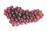 sweet pink grapes isolated on white background
