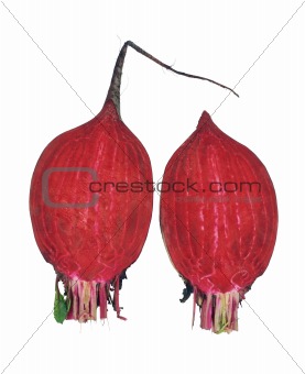 Beet, Beetroot, Table Beet isolated on white
