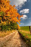 country road and autumn rural landscape
