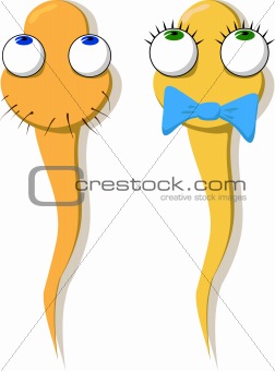 Two funny sperm - girl and boy. Vector