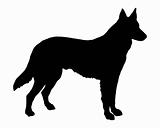 The black silhouette of a Shepherd Dog