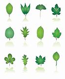 tree leafs and nature icons