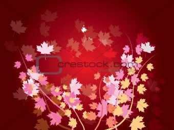 autumn leaves - nature background