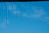 Icicles in blu sky