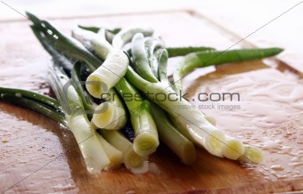 Fresh green onion