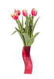 bouquet of fresh tulips