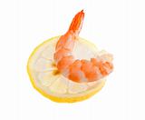 single shrimp