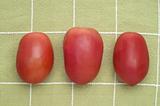 Trio of Roma Tomatoes