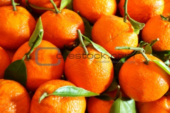 Pile of Oranges