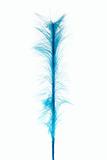 blue decoration from feathers