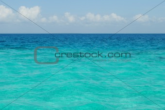 Clear sea of a coral reserve