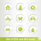 Set of Eco and Bio icons