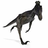 Dinosaur Velociraptor