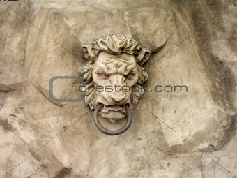 Stone lion's head, relief