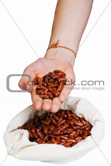  Beans