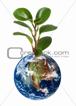 Earth planet with earth