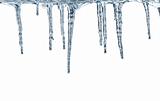 Thawing icicles isolated on white background