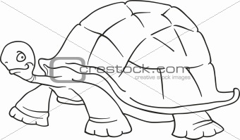 big turtle for coloring book