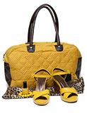 Feminine bag and pair yellow feminine loafers