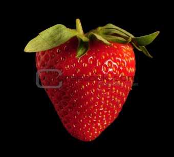 Single red strawberry against black