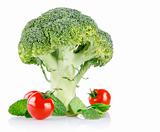 cabbage broccoli with tomatos and green leaves