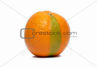 Mixed Orange
