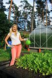 young pretty gardening woman watering salat plants