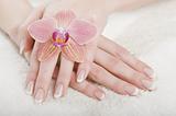 beautiful hands with french manicure