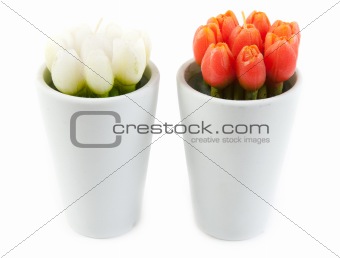 Two glass with tulip in the manner of candles