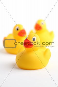 Rubber ducklings