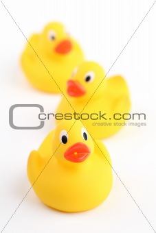 Rubber ducklings