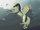 Ivory Pegasus