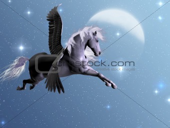 Starlight Pegasus