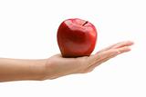 Hand holding red apple