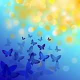 Abstract colourful background with butterflies