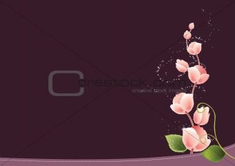 Rose Flower Background