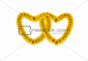 Sunflower petals in heart symbol