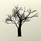 Illustration with branch tree silhouette. EPS 8