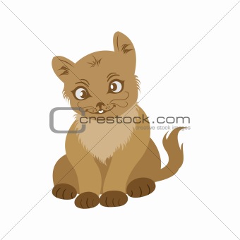 hand drawn portrait cat isolated