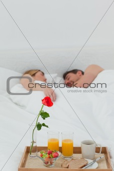 Lovers sleeping after having breakfast