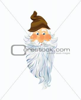 The Face of a Gnome.  Vector EPS10 Illustration.