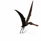 Dinosaur Anhanguera Pterosaur