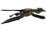 Dinosaur Archaeopteryx