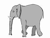 walking elephant - vector