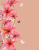 Pink background with lilies