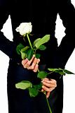 Girl in black with white rose. Isolated