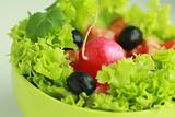 Vegetable salad with red radish