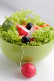 Vegetable salad with red radish