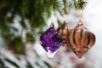 Christmas baubles on a snowy pine