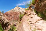 Hikers in Zion